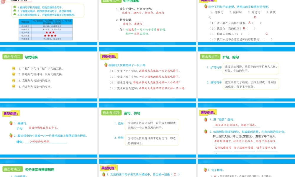 2025六年级小升初语文专题复习-第五讲  句子 课件