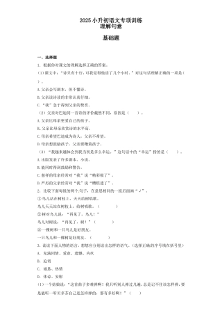 2025六年级小升初语文专项训练（基础知识二）-2.理解句意（24P 详细解析）