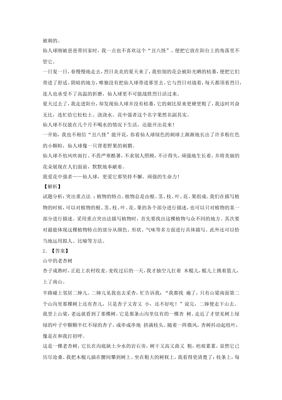 2025六年级小升初语文专项训练-5状物类文章的写作（12P 详细解析）_第3页