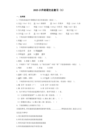 2025六年级小升初语文专项训练-总复习1（26P 详细解析）