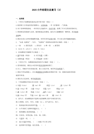 2025六年级小升初语文专项训练-总复习3（22P 详细解析）