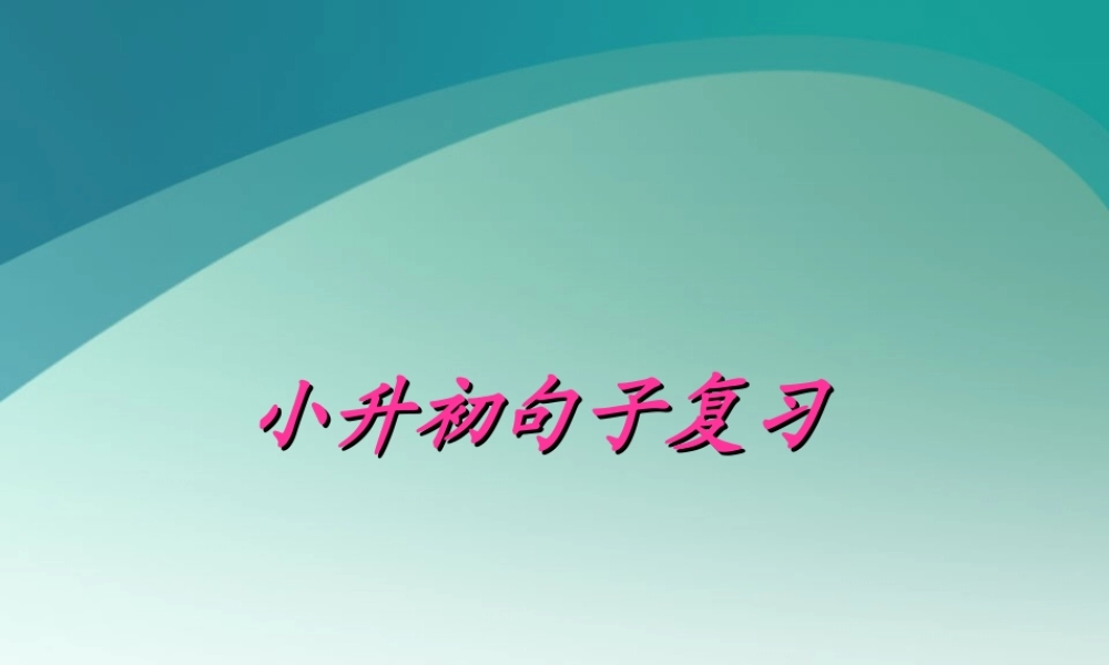 2025六年级小升初句子综合复习 课件