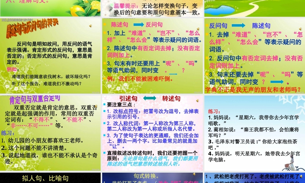 2025六年级小升初句子综合复习 课件