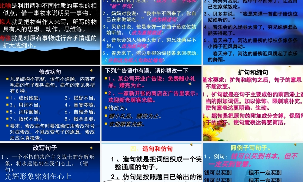 2025六年级小升初句子综合复习 课件