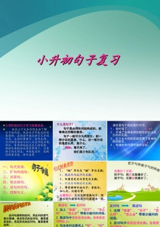 2025六年级小升初句子综合复习 课件