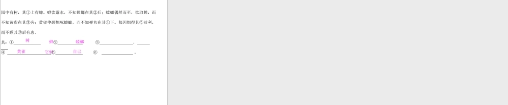 2025六年级小升初语文复习 课件(含答案)