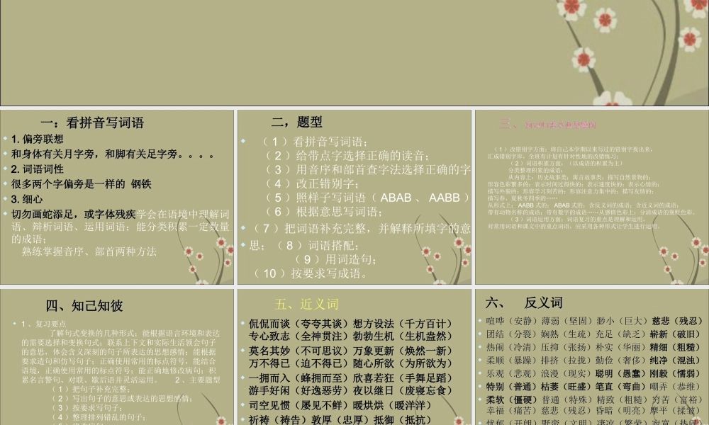 2025六年级小升初语文复习 课件