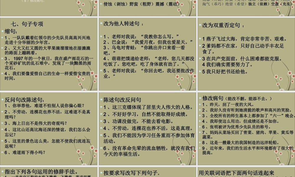 2025六年级小升初语文复习 课件