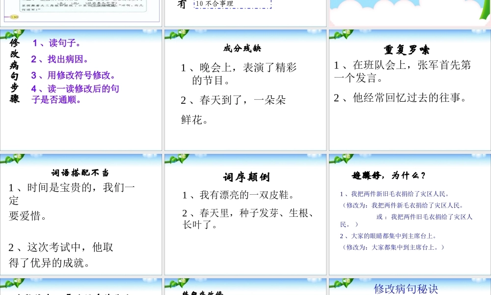 2025六年级小升初语文知识点专项复习 基础知识_(修改病句)复习 课件课件