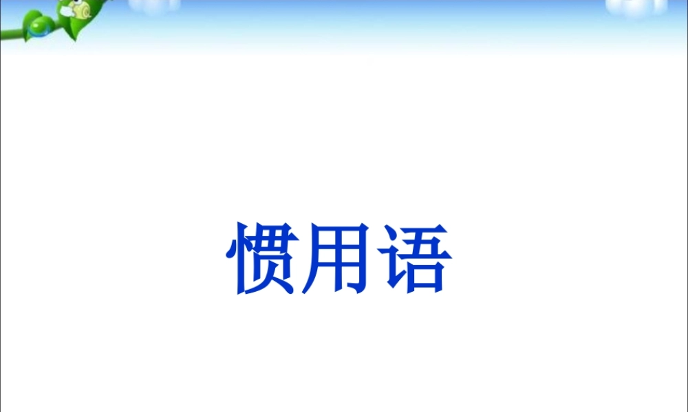 2025六年级小升初语文知识点专项复习_基础知识_惯用语课件