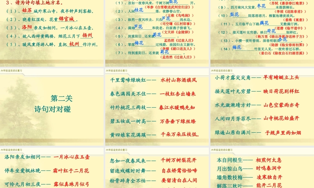 2025六年级小升初语文综合复习 课件之古诗词总复习