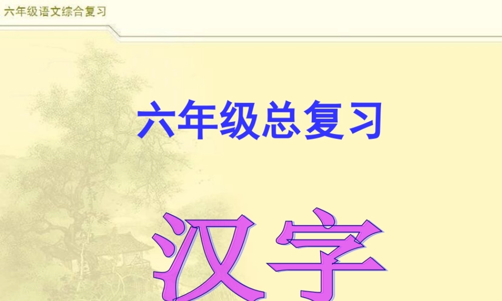 2025六年级小升初语文综合复习 课件之汉字