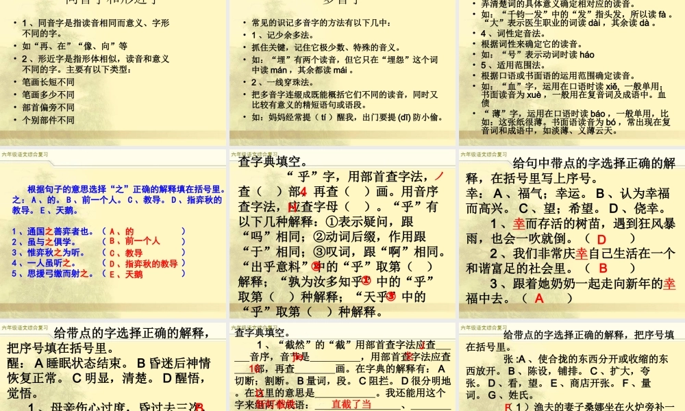 2025六年级小升初语文综合复习 课件之汉字