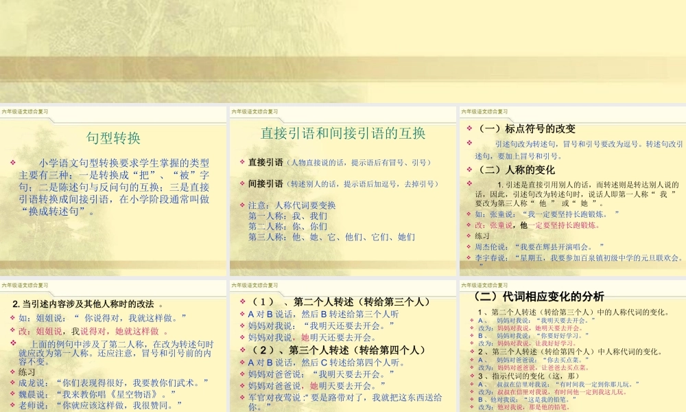 2025六年级小升初语文综合复习 课件之句式转换