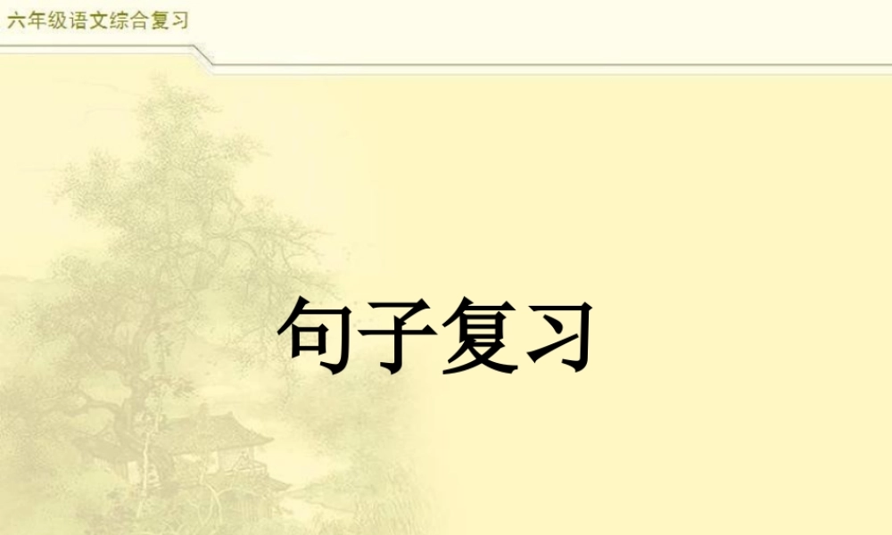 2025六年级小升初语文综合复习 课件之句子