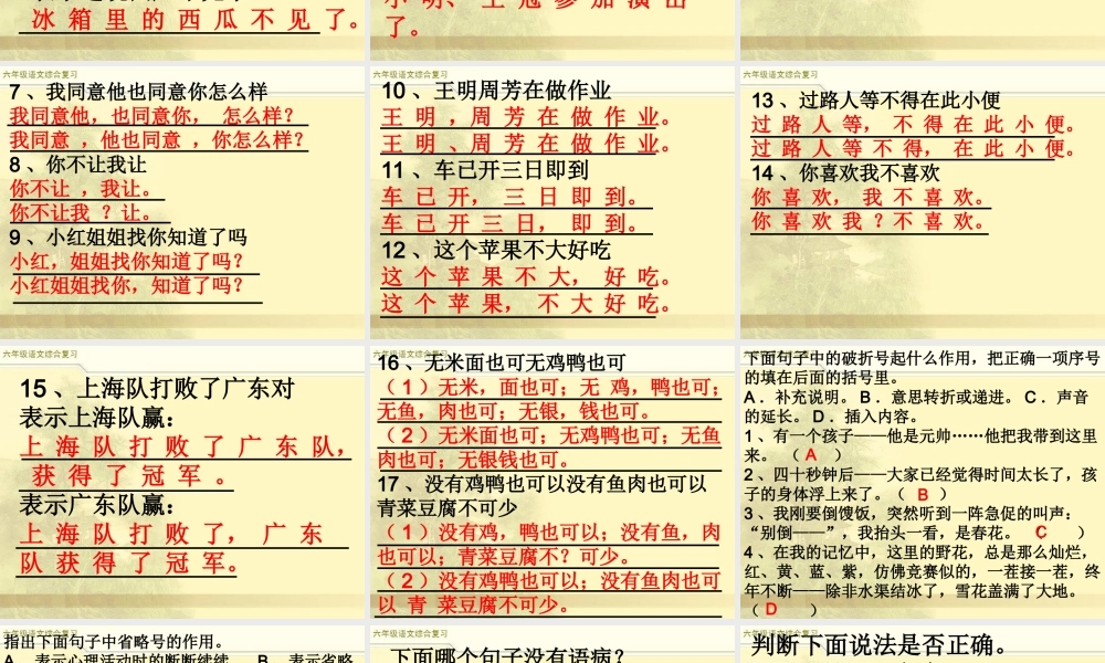 2025六年级小升初语文综合复习 课件之句子