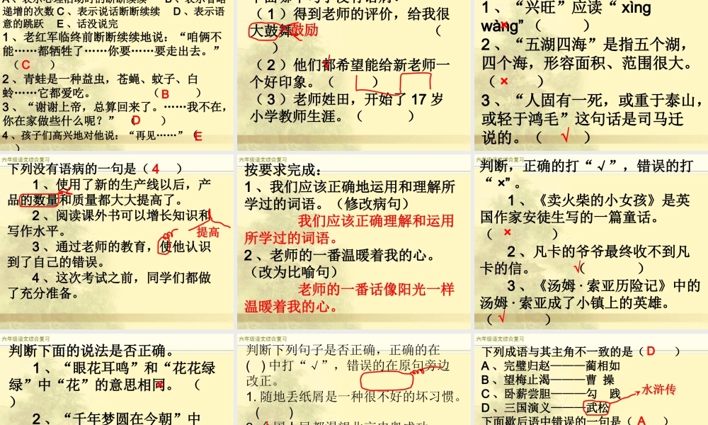 2025六年级小升初语文综合复习 课件之句子