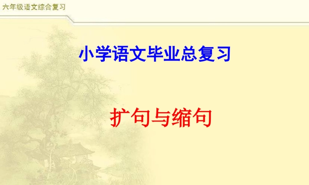 2025六年级小升初语文综合复习 课件之缩句、扩句