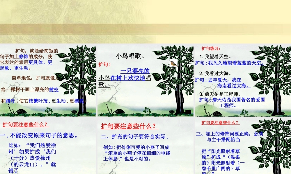 2025六年级小升初语文综合复习 课件之缩句、扩句