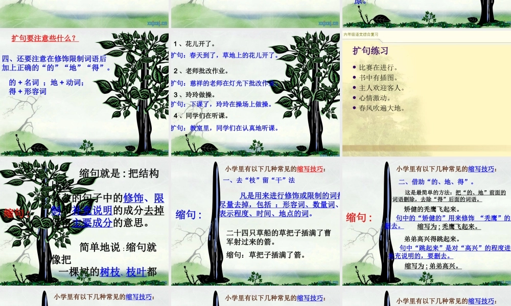 2025六年级小升初语文综合复习 课件之缩句、扩句