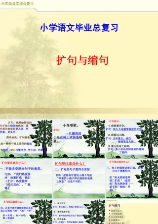 2025六年级小升初语文综合复习 课件之缩句、扩句