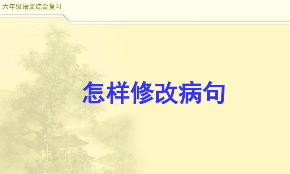 2025六年级小升初语文综合复习 课件之修改病句1