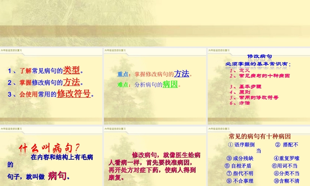 2025六年级小升初语文综合复习 课件之修改病句1