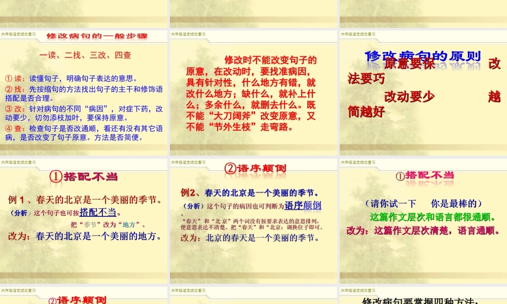 2025六年级小升初语文综合复习 课件之修改病句1