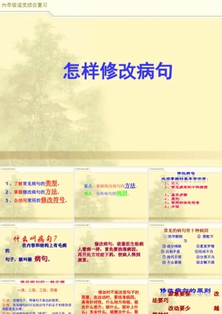 2025六年级小升初语文综合复习 课件之修改病句1