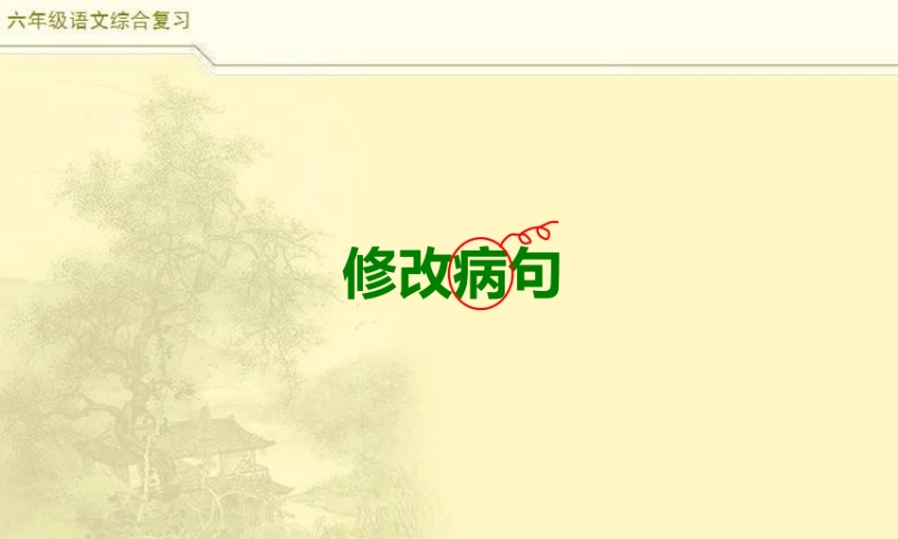 2025六年级小升初语文综合复习 课件之修改病句2