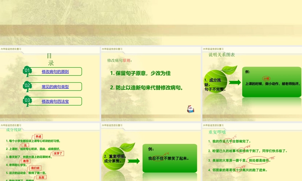 2025六年级小升初语文综合复习 课件之修改病句2