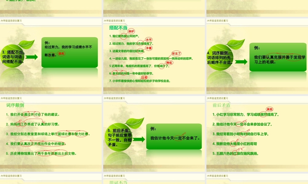 2025六年级小升初语文综合复习 课件之修改病句2