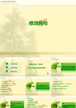 2025六年级小升初语文综合复习 课件之修改病句2