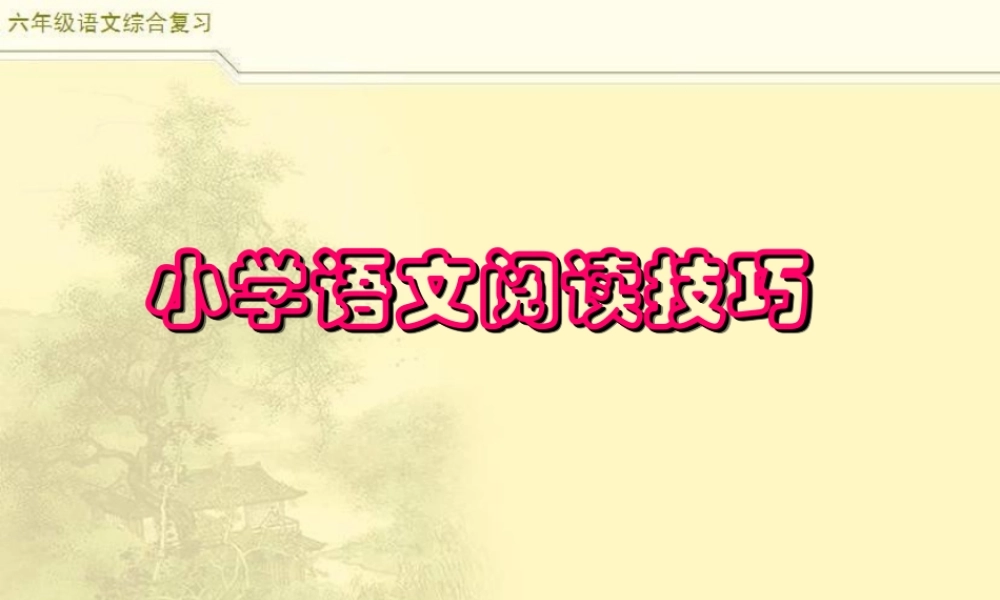 2025六年级小升初语文综合复习 课件之阅读复习