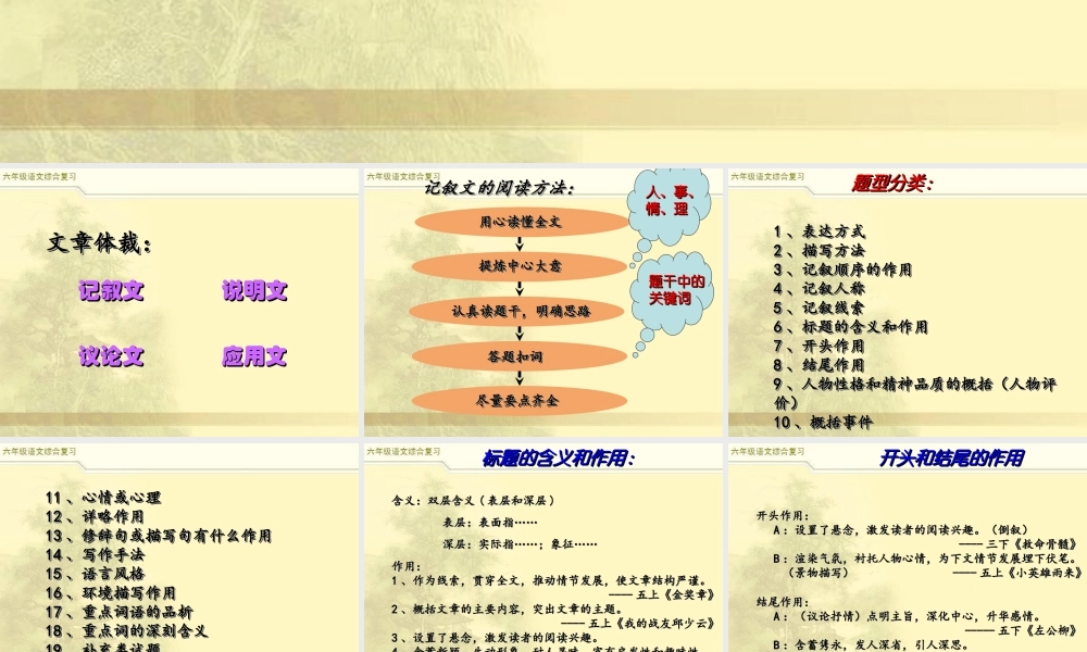 2025六年级小升初语文综合复习 课件之阅读复习