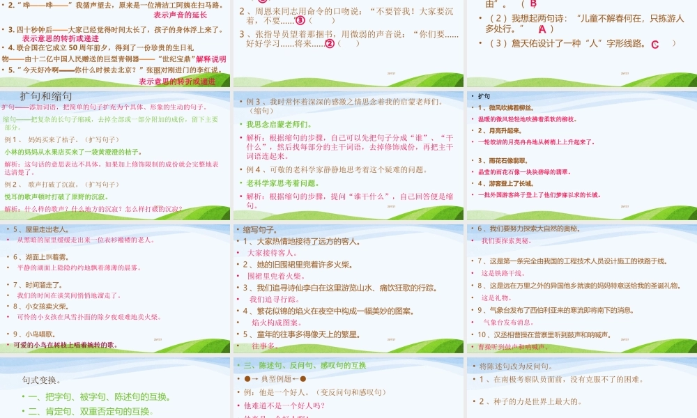 2025六年级小升初语文总复习 课件句子1