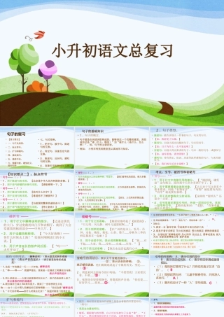 2025六年级小升初语文总复习 课件句子1