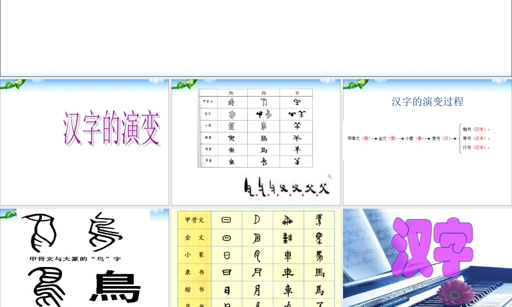 2025小升初汉字总复习 课件