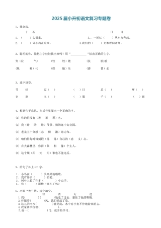 2025届六年级小升初语文专题复习-03汉字同音字（9P）（附答案解析）
