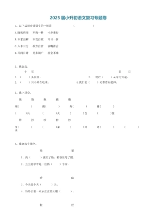2025届六年级小升初语文专题复习-04汉字形近字（10P）（附答案解析）