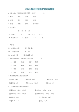 2025届六年级小升初语文专题复习-05汉字易错字（8P）（附答案解析）