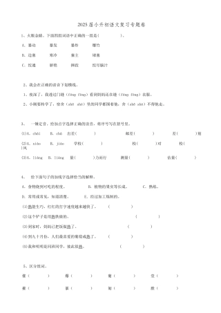 2025届六年级小升初语文专题复习-08汉字综合（13P）（附答案解析）