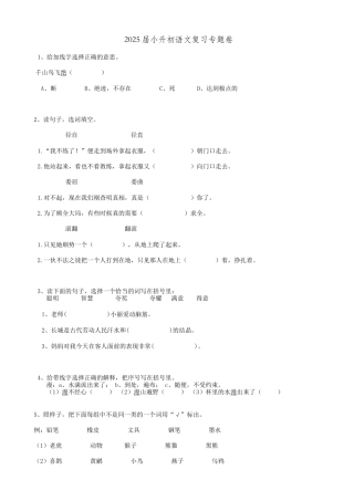 2025届六年级小升初语文专题复习-15词语词义辨析（19P）（附答案解析）