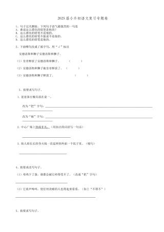 2025届六年级小升初语文专题复习-18句法句式-被字句-把字句-感叹句（16P）（附答案解析）