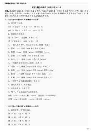 2025届六年级小升初语文专题复习-38语文总复习资料汇总（23P）（附答案解析）