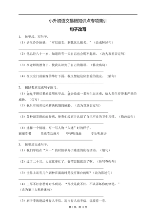 2025届人教部编版小学六年级小升初语文易错知识点专项集训A卷-句子改写(附答案）