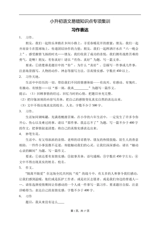 2025届人教部编版小学六年级小升初语文易错知识点专项集训A卷-习作表达(附答案）