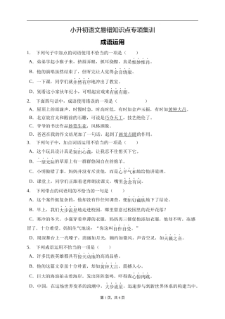 2025届人教部编版小学六年级小升初语文易错知识点专项集训B卷-成语运用(附答案）