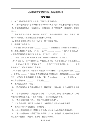 2025届人教部编版小学六年级小升初语文易错知识点专项集训B卷-课文理解(附答案）