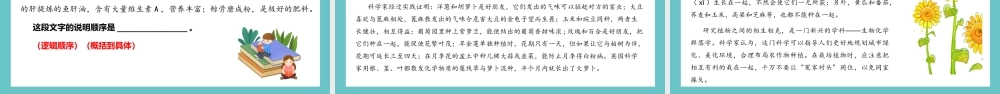 人教部编版小学六年级小升初语文专题复习-【阅读】说明文阅读之说明顺序与结构-课件